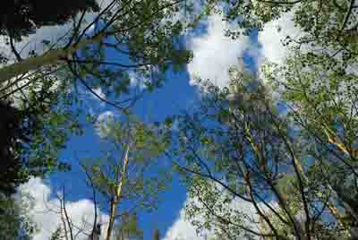 Les montagnes rocheuses dans l'état du Colorado aux Etats-Unis. Photographies par Amar Guillen.